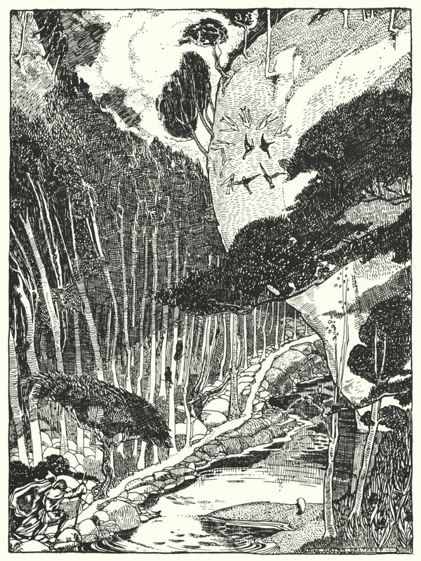 The Dim Forest (gravering) af Dion Clayton Calthrop