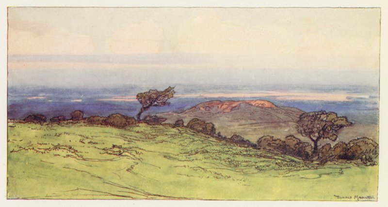 Poole Harbour fra Isle of Purbeck (farvelitografi) af Donald (after) Maxwell