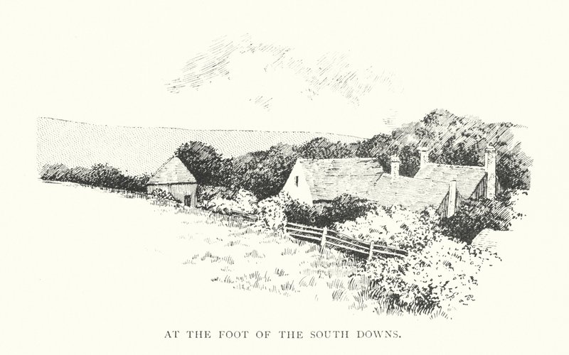 Ved foden af South Downs (litografi) af Duncan Moul