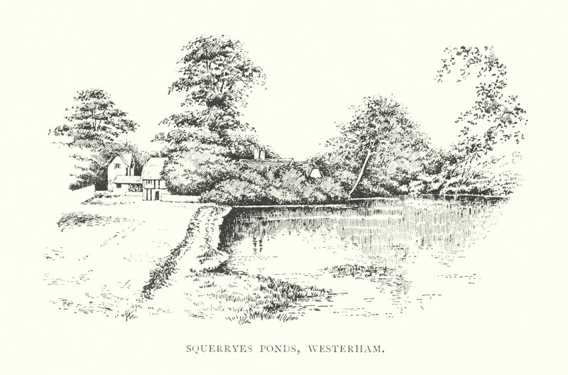 Squerryes Ponds, Westerham (litografi) af Duncan Moul
