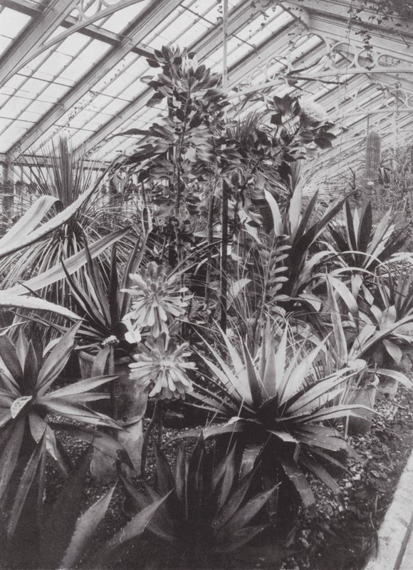 Kew Gardens, ca. 1900 (s/h-foto) af E. J. Wallis