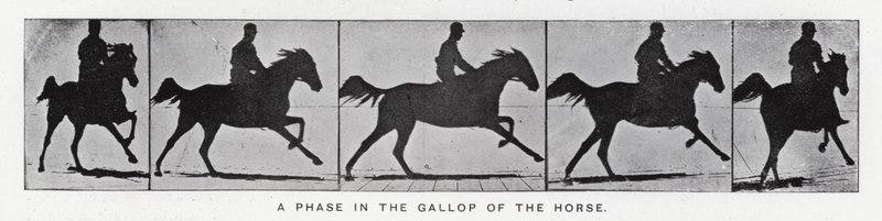Eadweard Muybridge: En fase i hestens galop (s/h foto) af Eadweard Muybridge