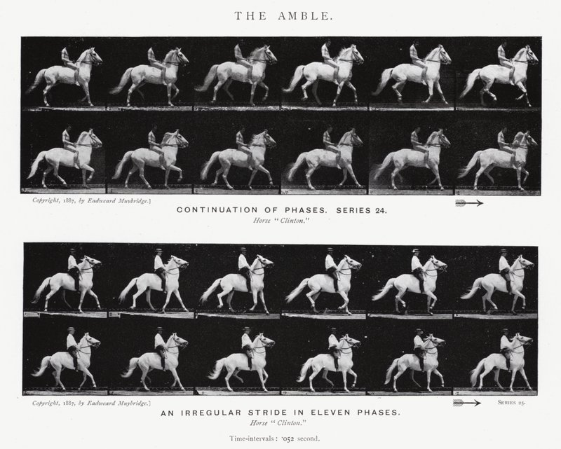 Eadweard Muybridge: The Amble (s/h foto) af Eadweard Muybridge