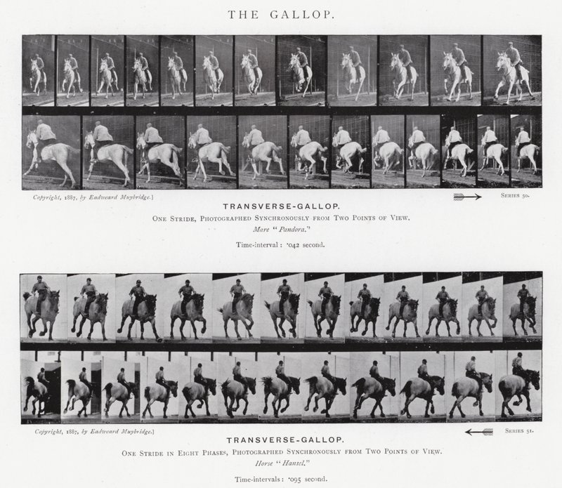 Eadweard Muybridge: The Gallop (s/h foto) af Eadweard Muybridge