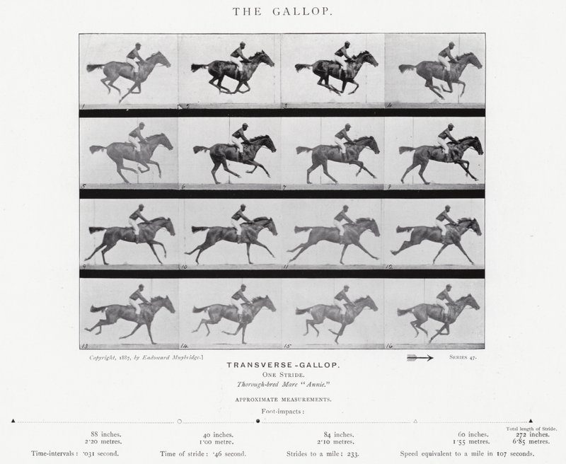 Eadweard Muybridge: The Gallop (s/h foto) af Eadweard Muybridge