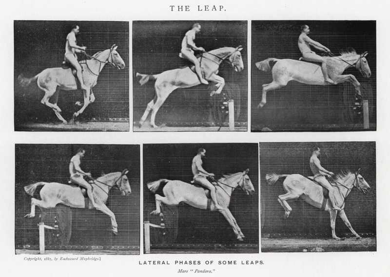 Eadweard Muybridge: The Leap (s/h foto) af Eadweard Muybridge