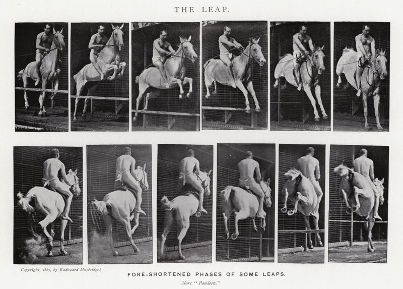 Eadweard Muybridge: The Leap (s/h foto) af Eadweard Muybridge