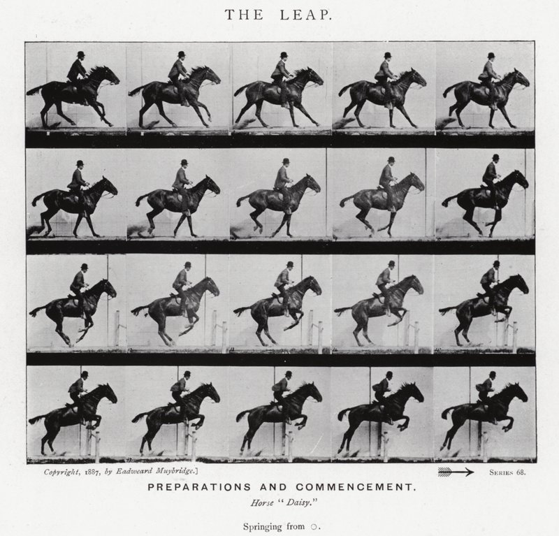 Eadweard Muybridge: The Leap (s/h foto) af Eadweard Muybridge