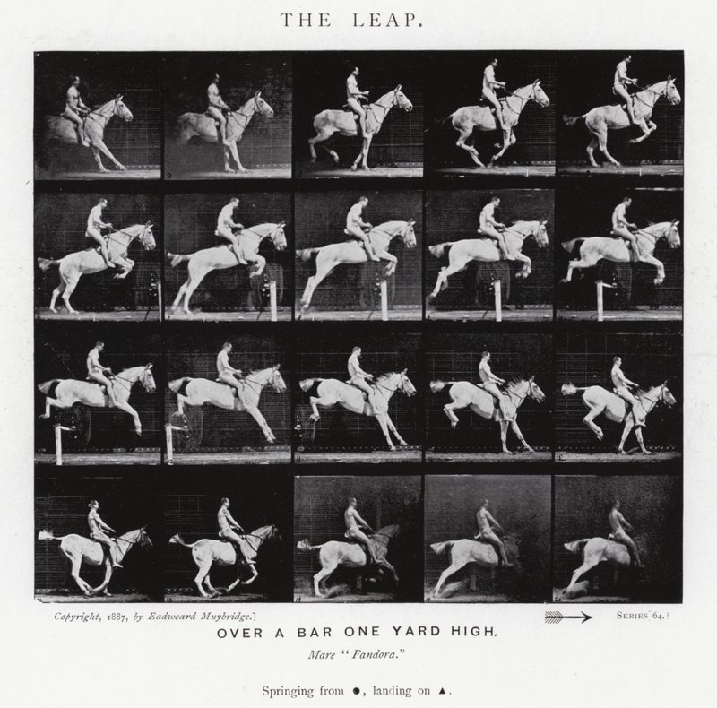 Eadweard Muybridge: The Leap (s/h foto) af Eadweard Muybridge