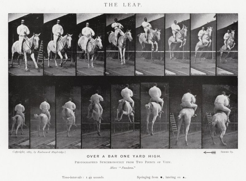 Eadweard Muybridge: The Leap (s/h foto) af Eadweard Muybridge