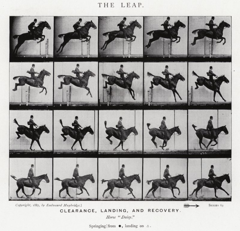 Eadweard Muybridge: The Leap (s/h foto) af Eadweard Muybridge