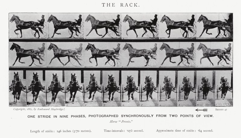 Eadweard Muybridge: The Rack (s/h foto) af Eadweard Muybridge