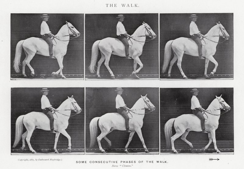 Eadweard Muybridge: The Walk (s/h foto) af Eadweard Muybridge