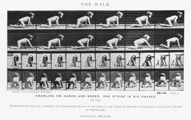 Eadweard Muybridge: The Walk (s/h foto) af Eadweard Muybridge