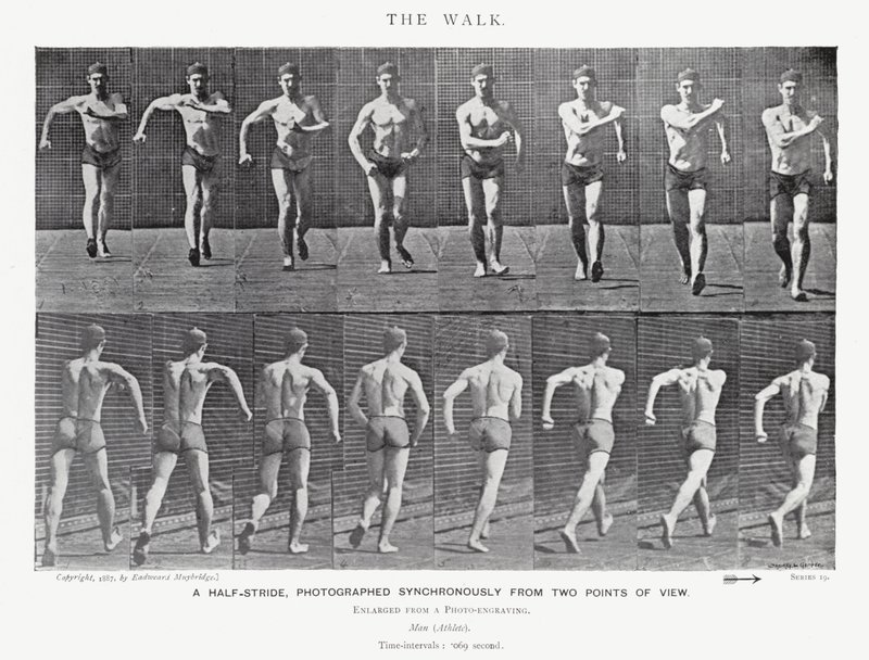 Eadweard Muybridge: The Walk (s/h foto) af Eadweard Muybridge