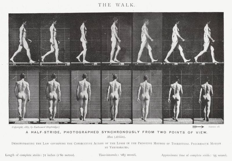 Eadweard Muybridge: The Walk (s/h foto) af Eadweard Muybridge
