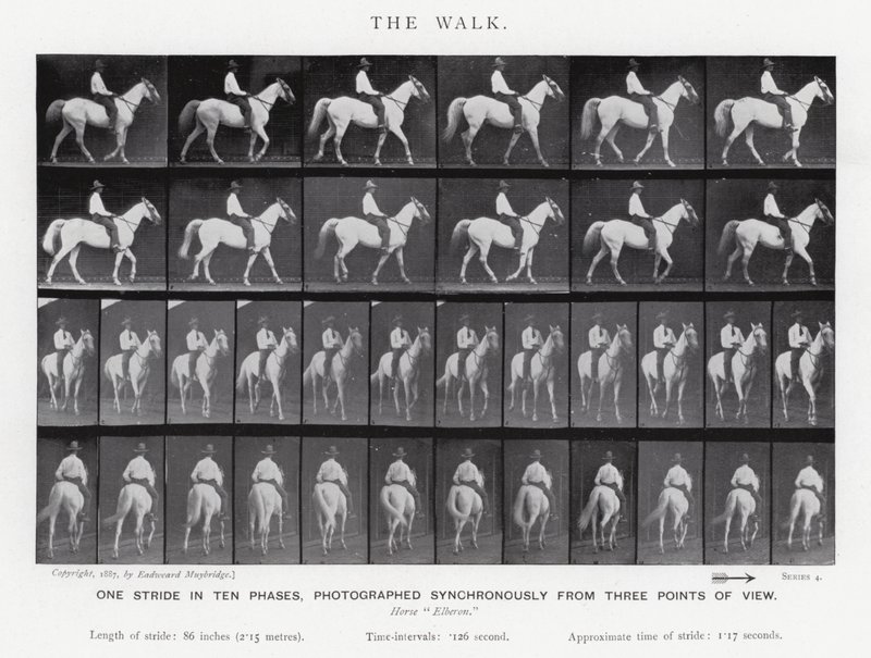 Eadweard Muybridge: The Walk (s/h foto) af Eadweard Muybridge