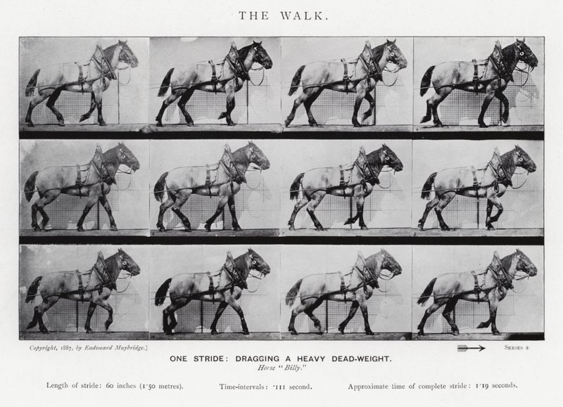 Eadweard Muybridge: The Walk af Eadweard Muybridge