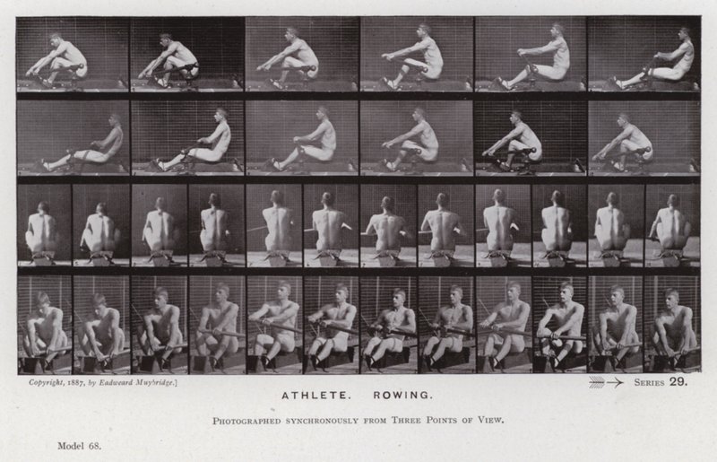 Den menneskelige figur i bevægelse: atlet, roning (s/h-billede) af Eadweard Muybridge
