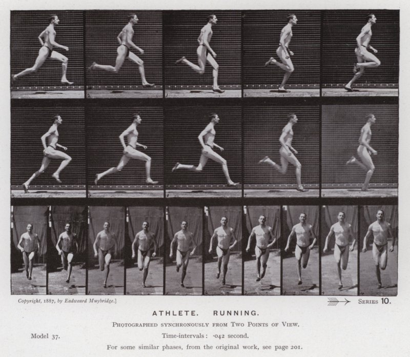 Den menneskelige figur i bevægelse: atlet, løb (s/h-billede) af Eadweard Muybridge