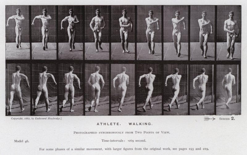 Den menneskelige figur i bevægelse: atlet, gående (s/h-billede) af Eadweard Muybridge