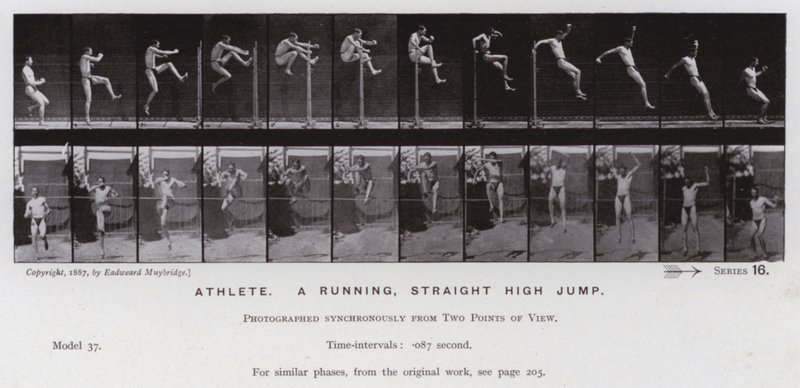 Den menneskelige figur i bevægelse: Atlet, et løbende, lige højdespring (s/h-billede) af Eadweard Muybridge