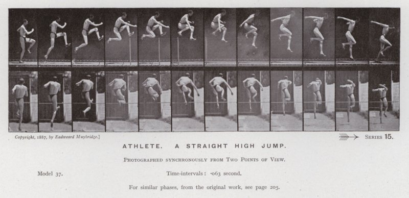 The Human Figure in Motion: Atlet, et lige højdespring (s/h foto) af Eadweard Muybridge