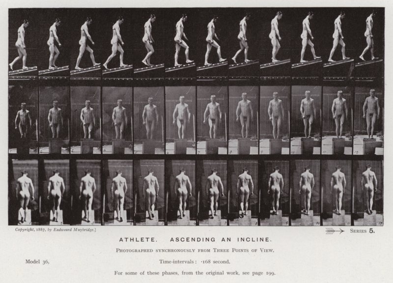 Den menneskelige figur i bevægelse: Atlet, der stiger op ad en skråning (s/h foto) af Eadweard Muybridge