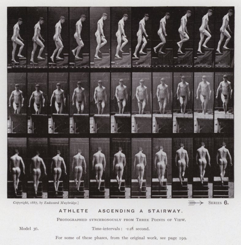 Den menneskelige figur i bevægelse: atlet, der går op ad en trappe (s/h foto) af Eadweard Muybridge