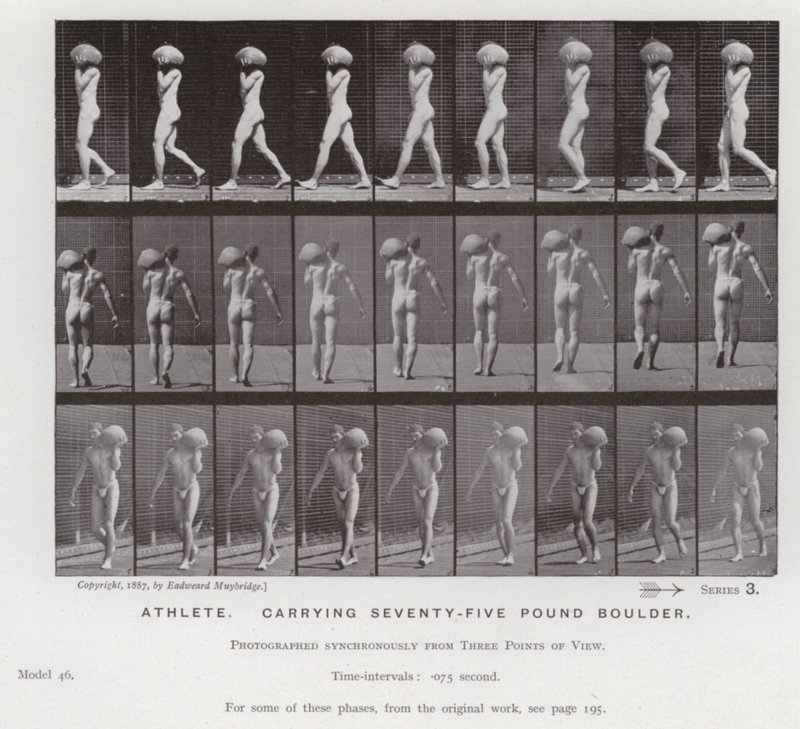 Den menneskelige figur i bevægelse: Atlet, der bærer en sten på 75 pund (s/h foto) af Eadweard Muybridge