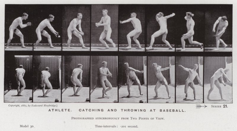 Den menneskelige figur i bevægelse: Atlet, fanger og kaster med baseball (s/h-billede) af Eadweard Muybridge