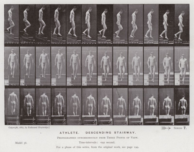 Den menneskelige figur i bevægelse: atlet, der går ned ad en trappe (s/h-billede) af Eadweard Muybridge