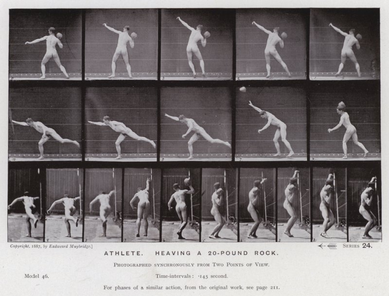Den menneskelige figur i bevægelse: Atlet, der hæver en 20-punds sten (s/h-billede) af Eadweard Muybridge