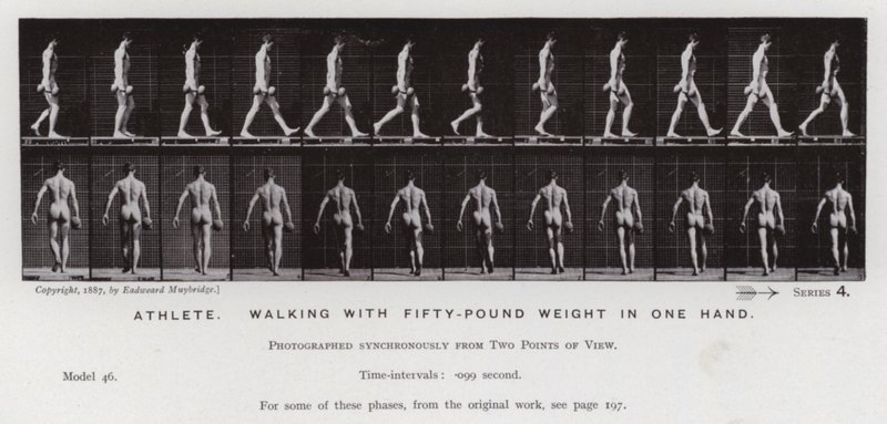 Den menneskelige figur i bevægelse: Atlet, der går med halvtreds pund vægt i den ene hånd (s/h foto) af Eadweard Muybridge