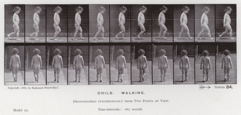 Den menneskelige figur i bevægelse: barn, gående (s/h-billede) af Eadweard Muybridge