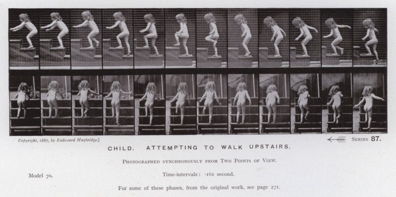 Den menneskelige figur i bevægelse: Barn, der forsøger at gå ovenpå (s/h-billede) af Eadweard Muybridge