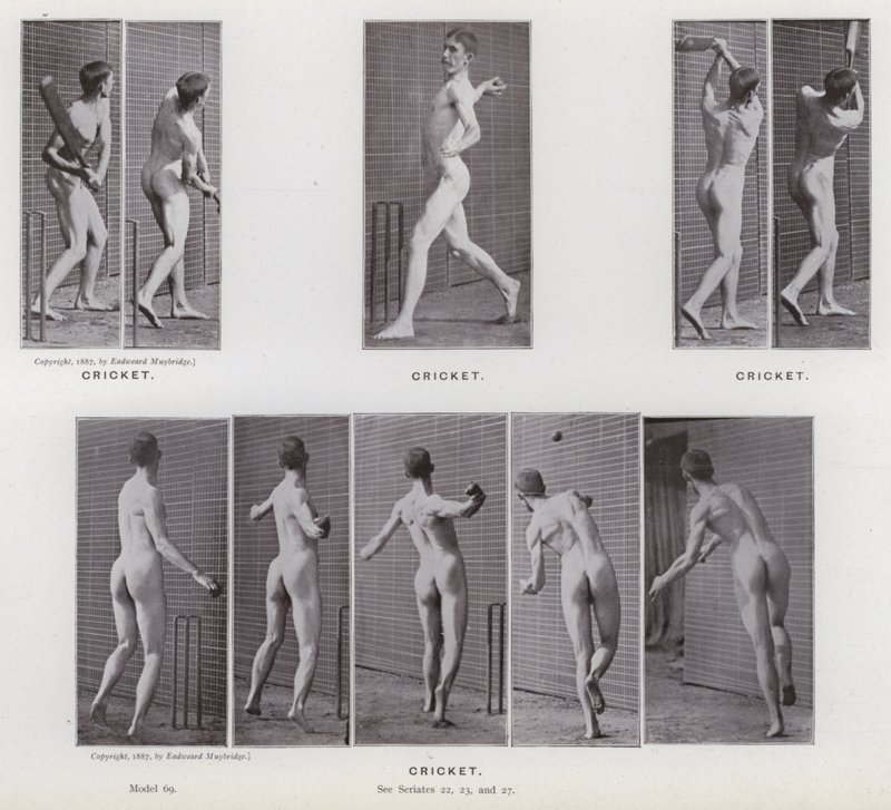 The Human Figure in Motion: Cricket (s/h foto) af Eadweard Muybridge