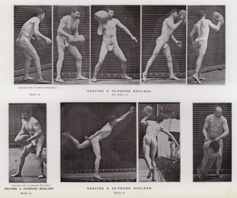 Den menneskelige figur i bevægelse: Hæver en kampesten på 75 pund; Hæver en 20-punds kampesten (s/h-billede) af Eadweard Muybridge