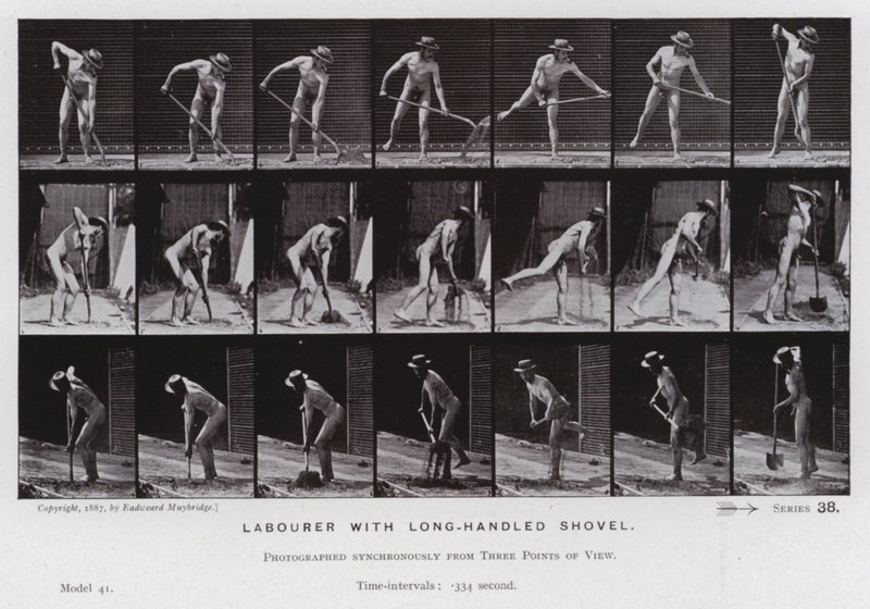 Den menneskelige figur i bevægelse: Arbejder med langskaftet skovl (s/h foto) af Eadweard Muybridge