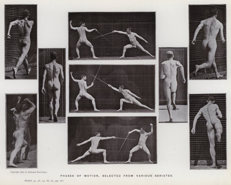 Den menneskelige figur i bevægelse: Bevægelsesfaser, udvalgt fra forskellige serier (s/h foto) af Eadweard Muybridge