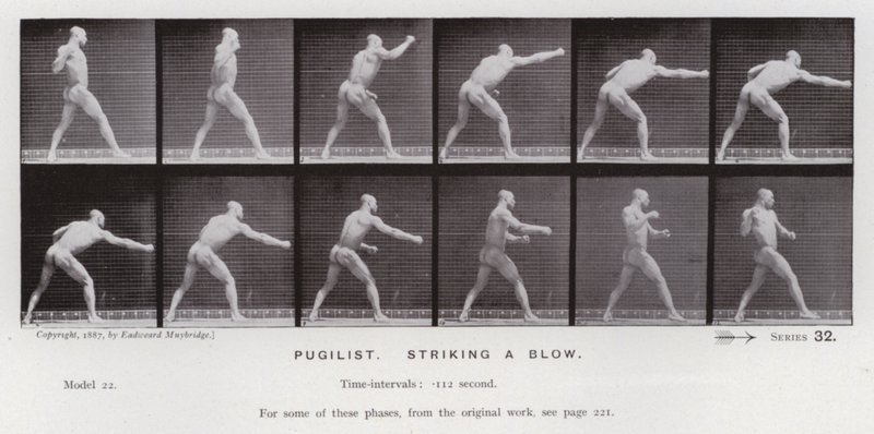 Den menneskelige figur i bevægelse: pugilist, der slår et slag (b/w foto) af Eadweard Muybridge