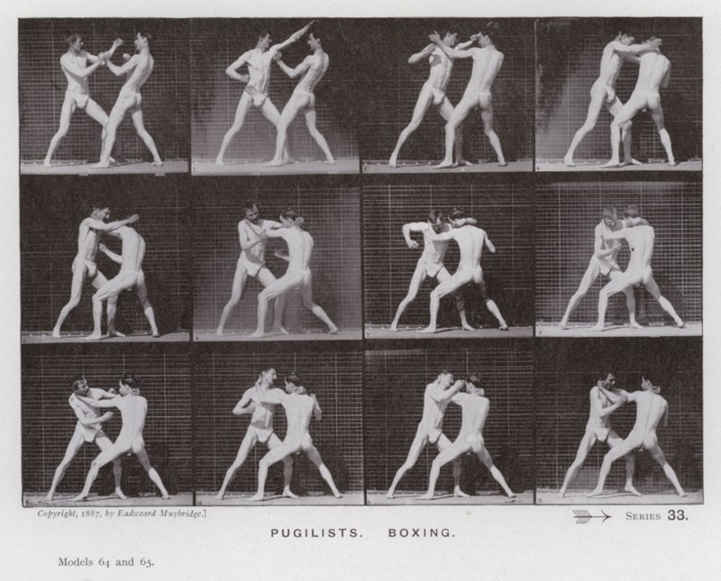 The Human Figure in Motion: Pugilists, Boxing (s/h-billede) af Eadweard Muybridge
