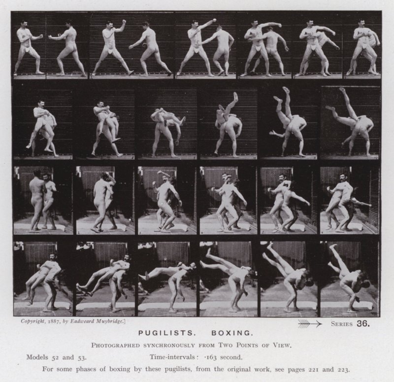 Den menneskelige figur i bevægelse: Pugilister, boksning (s/h-billede) af Eadweard Muybridge