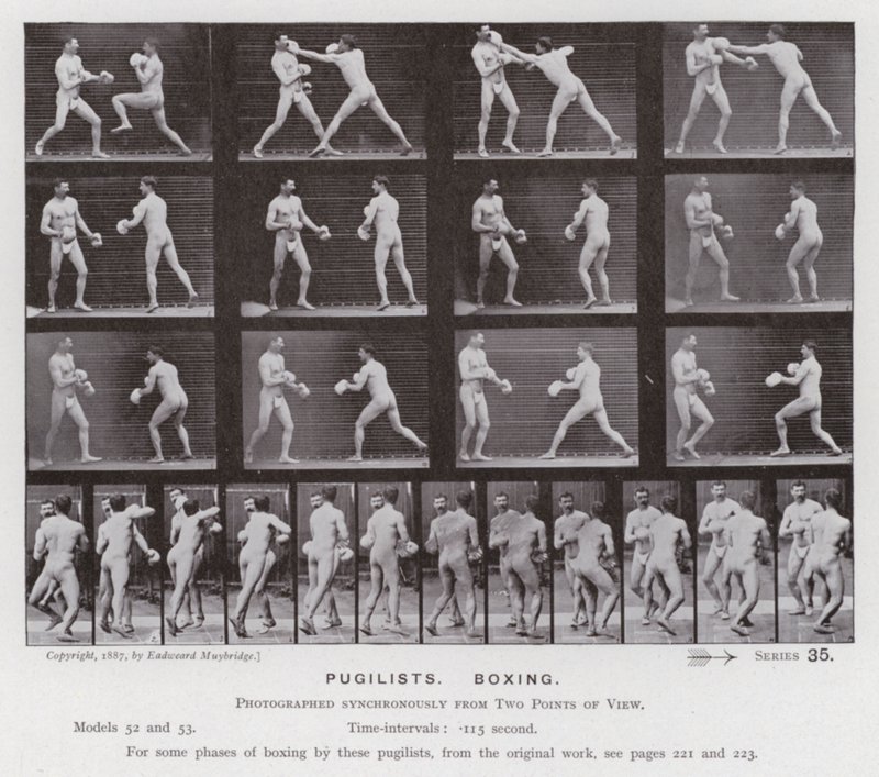The Human Figure in Motion: Pugilists, Boxing (s/h-billede) af Eadweard Muybridge