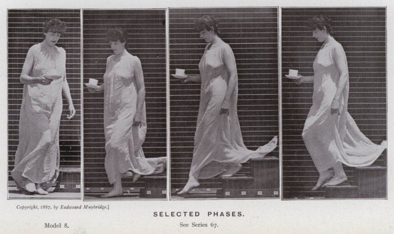 Den menneskelige figur i bevægelse: udvalgte faser (s/h foto) af Eadweard Muybridge