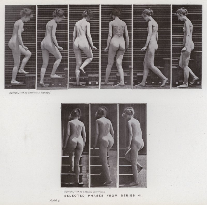 Den menneskelige figur i bevægelse: Udvalgte faser fra serie 41 (s/h foto) af Eadweard Muybridge
