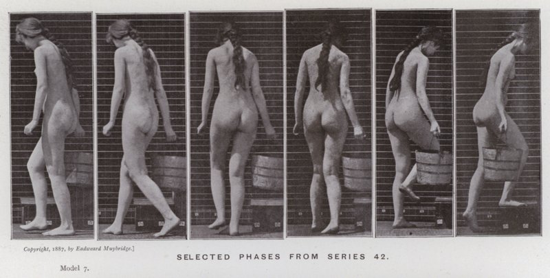 Den menneskelige figur i bevægelse: Udvalgte faser fra serie 42 (s/h-foto) af Eadweard Muybridge
