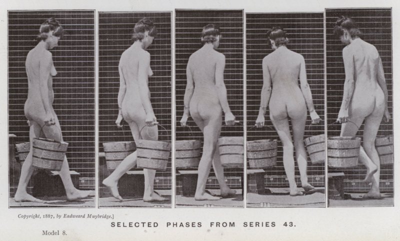 Den menneskelige figur i bevægelse: Udvalgte faser fra serie 43 (s/h-foto) af Eadweard Muybridge
