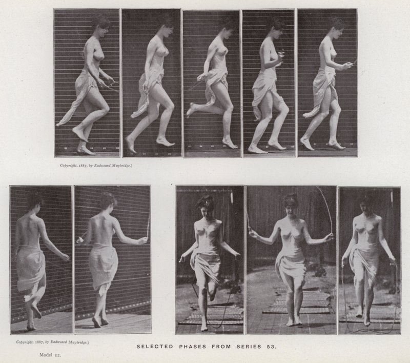 Den menneskelige figur i bevægelse: Udvalgte faser fra serie 53 (s/h-foto) af Eadweard Muybridge