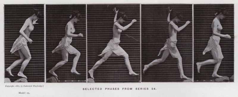 Den menneskelige figur i bevægelse: Udvalgte faser fra serie 54 (s/h-foto) af Eadweard Muybridge